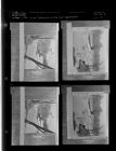 Submachine on the Tar re-photograph (4 Negatives) (April 11, 1961) [Sleeve 3, Folder d, Box 26]